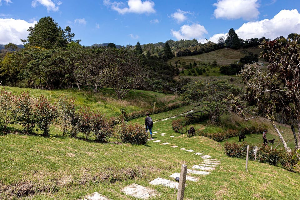 Hiking trails on the property. 