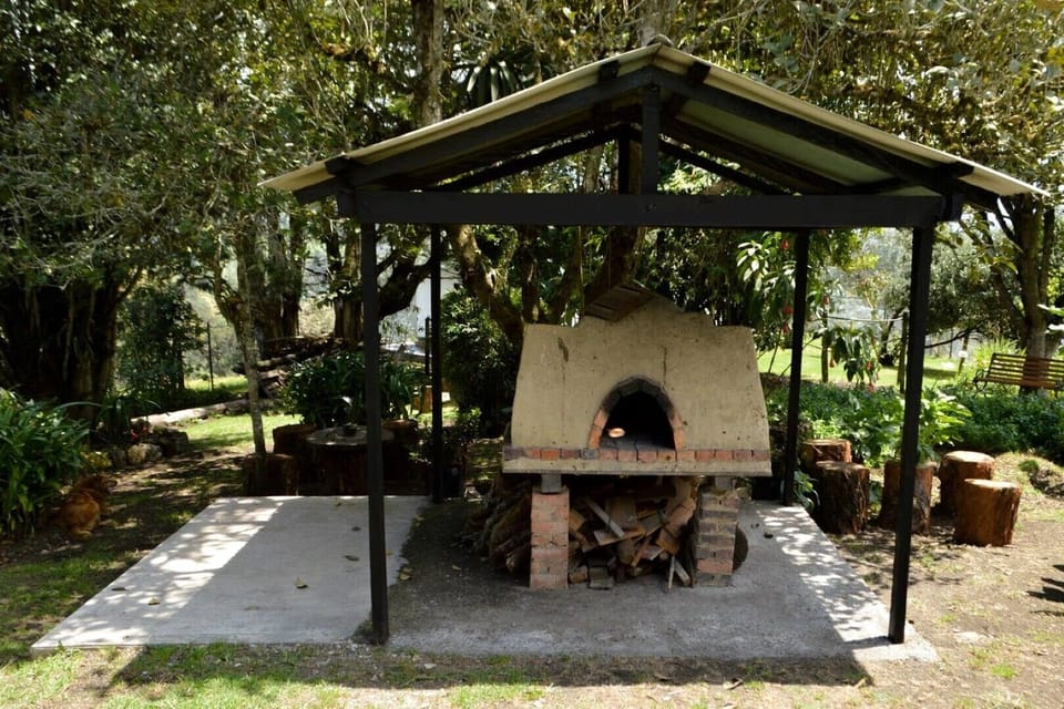 Wood burning oven outside.