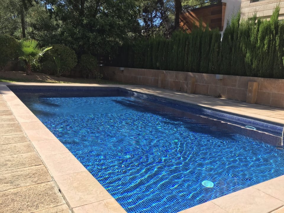 The sunny pool