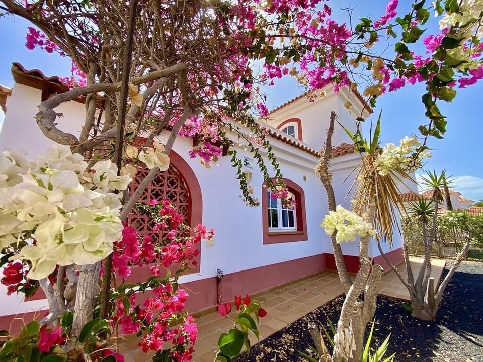 Front View Of House