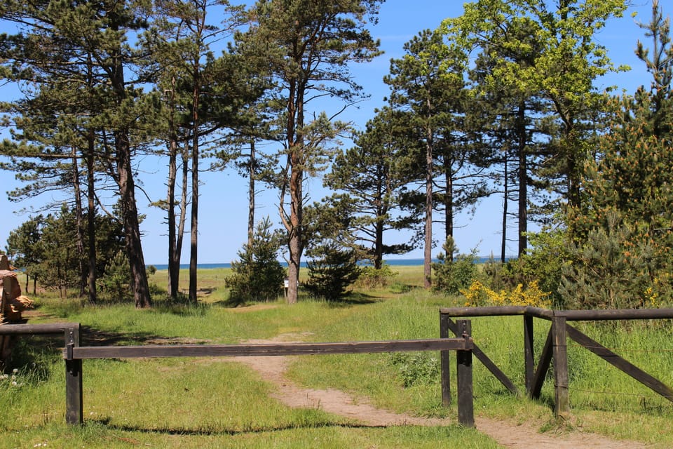The way to the beach