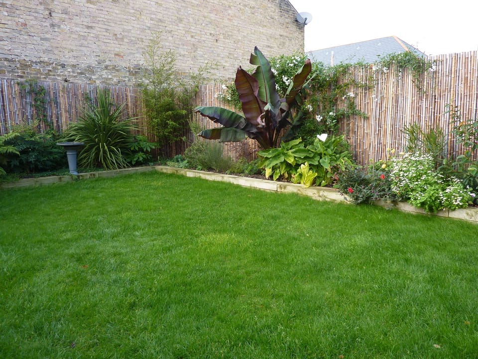Tropical evergreen garden with trampoline