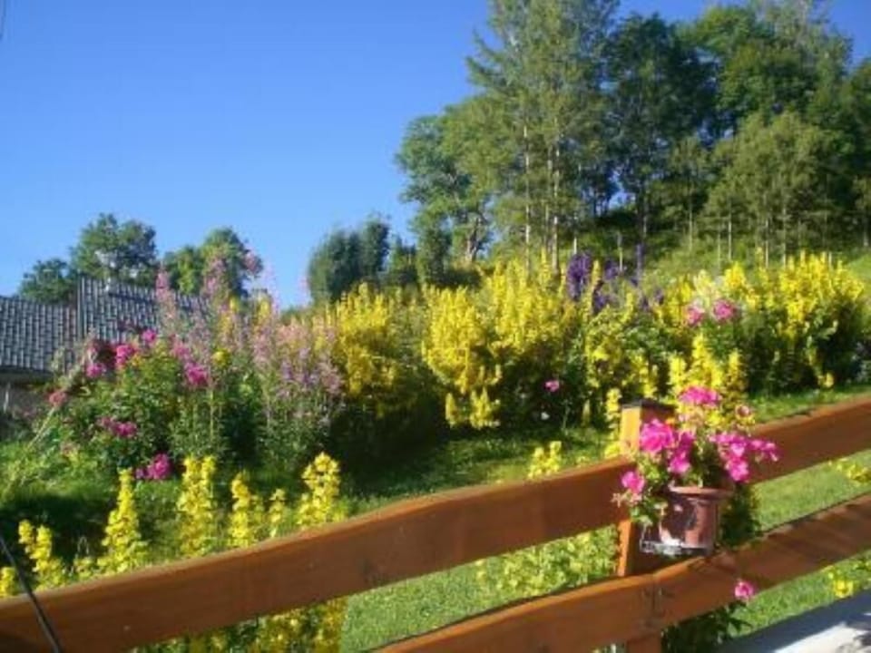 Garden, Park