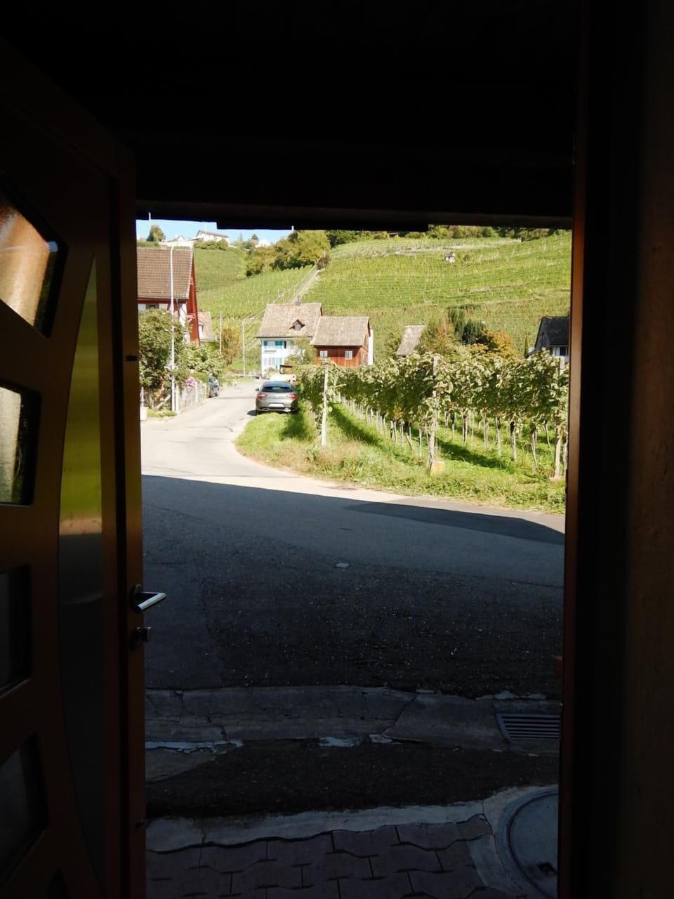 Picture 9