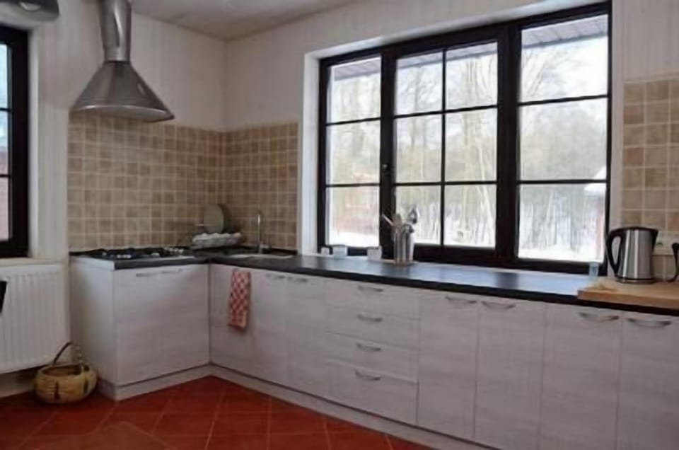 Kitchen area. Kitchen of holiday villa "Dzukijos uoga"