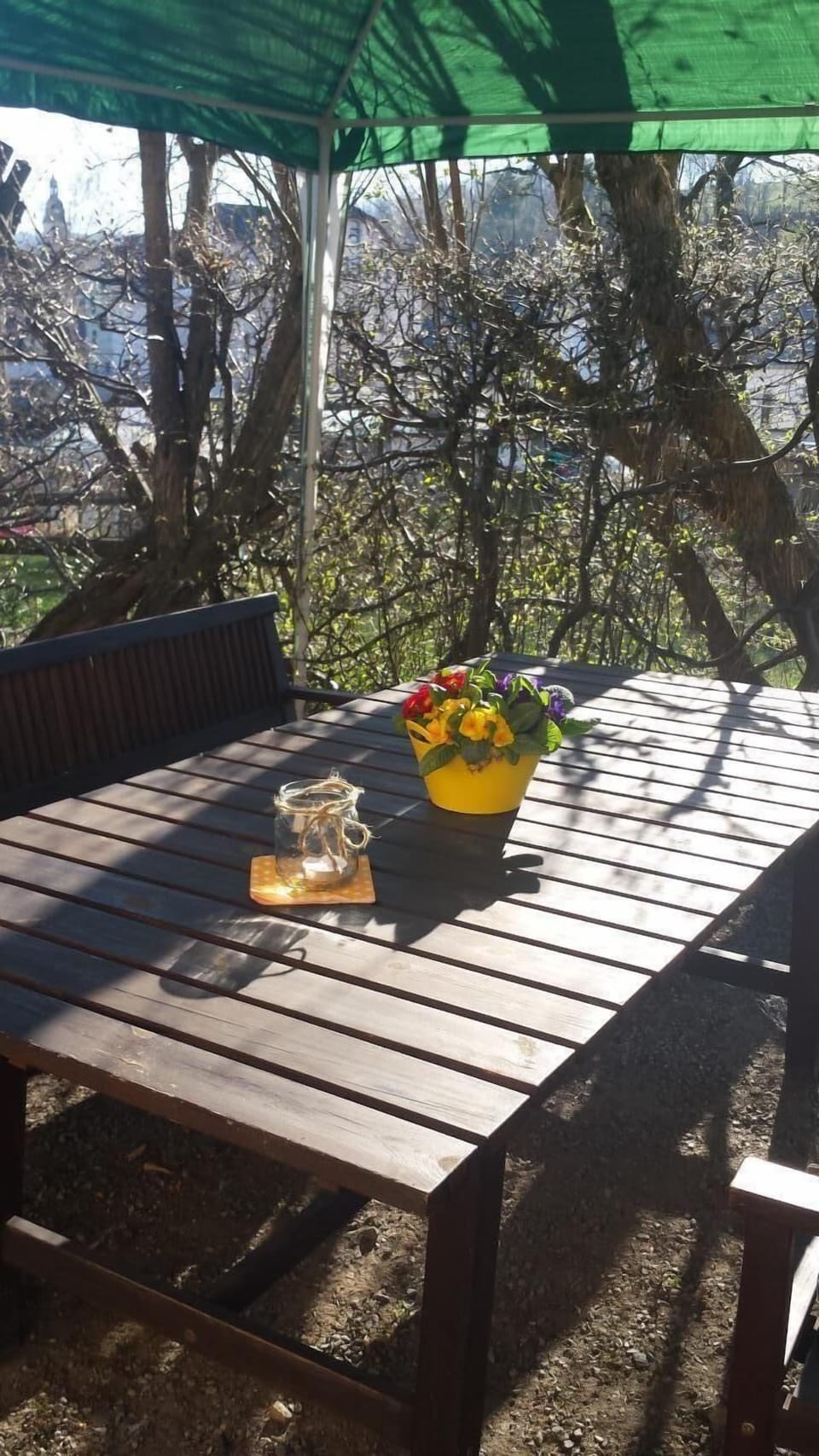 Garden. Picture 12