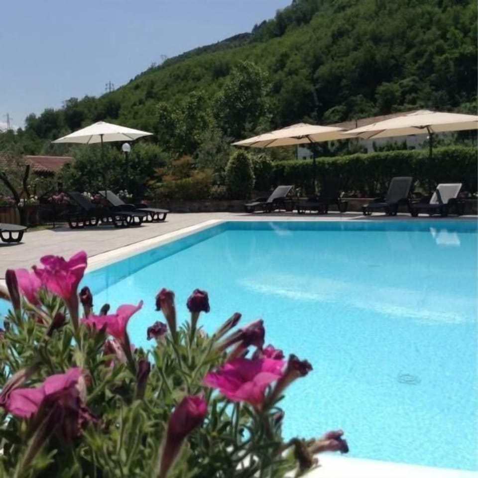 The pool with solarium area