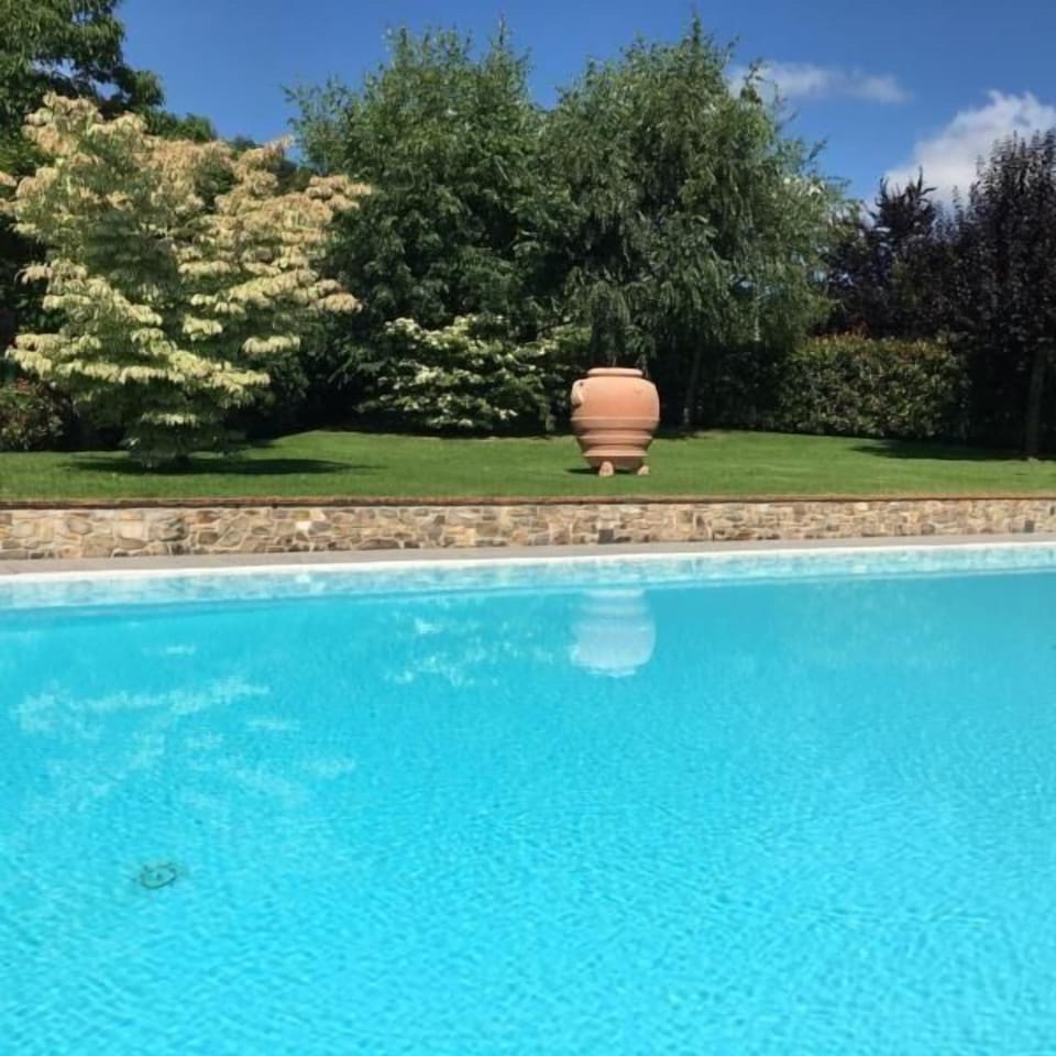 The pool and a part of the garden