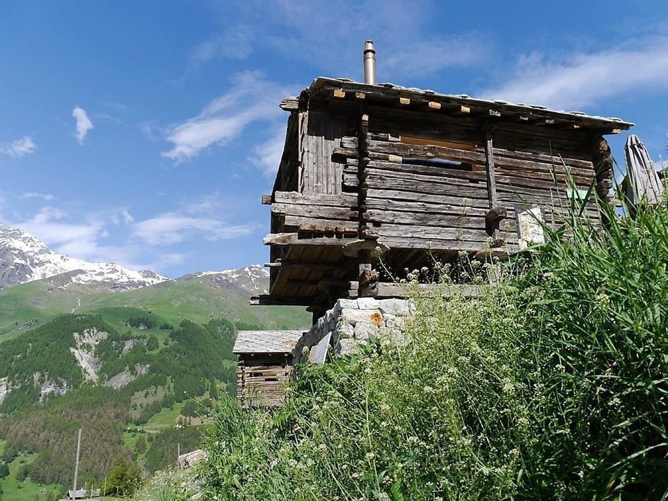 Picture 9