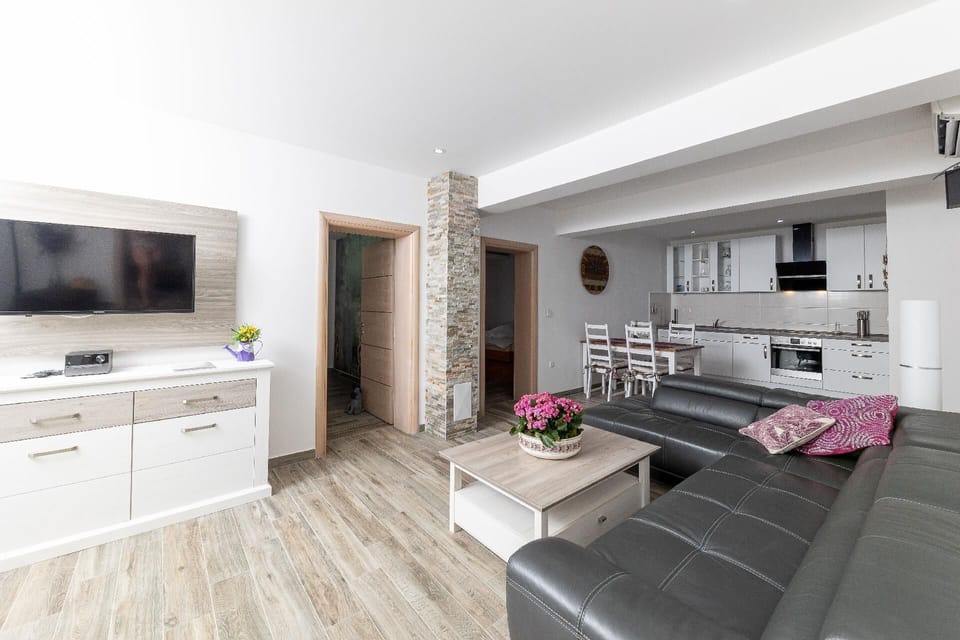 Apartment ground floor: Living room