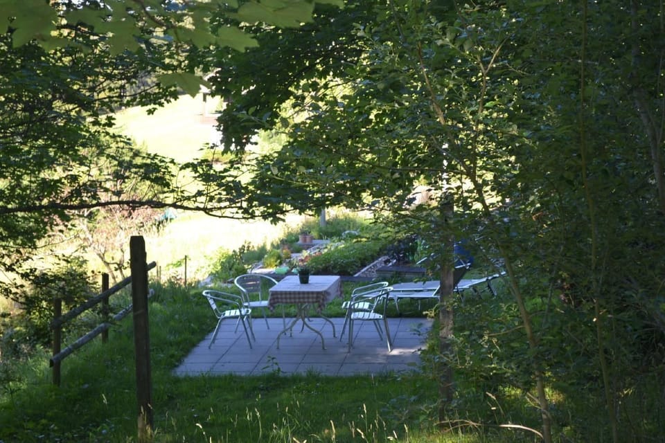 Garden with fireplace