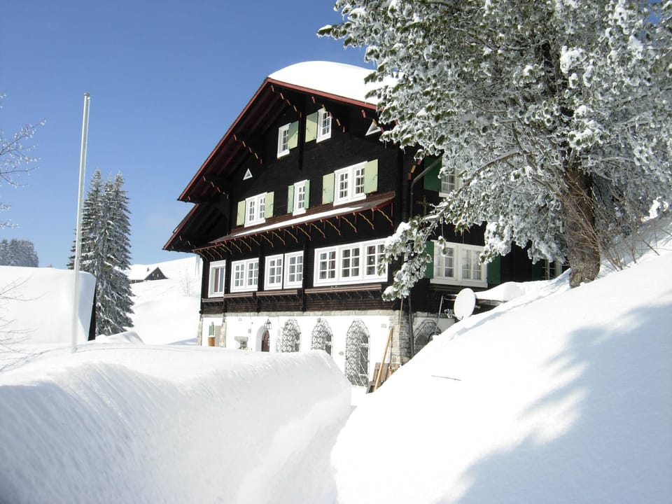 Picture 15