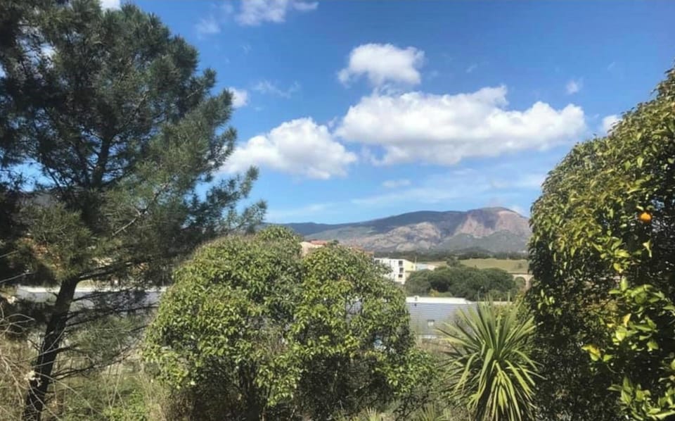 Mountain view