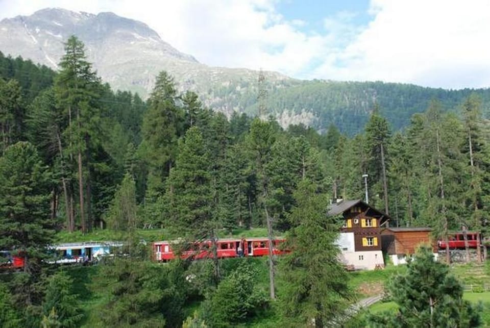 Picture 12