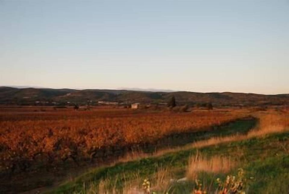 surroundings in automn