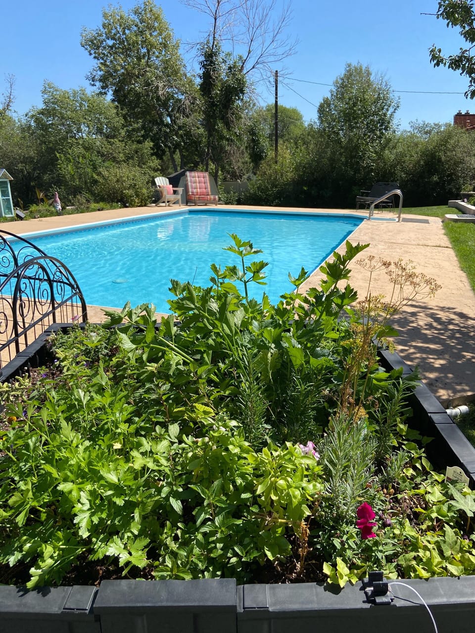 In Ground Heated Lap Pool 4 Feet Deep