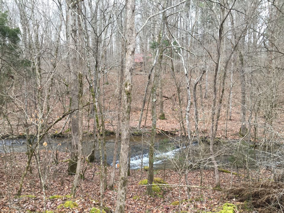 Stream on the property