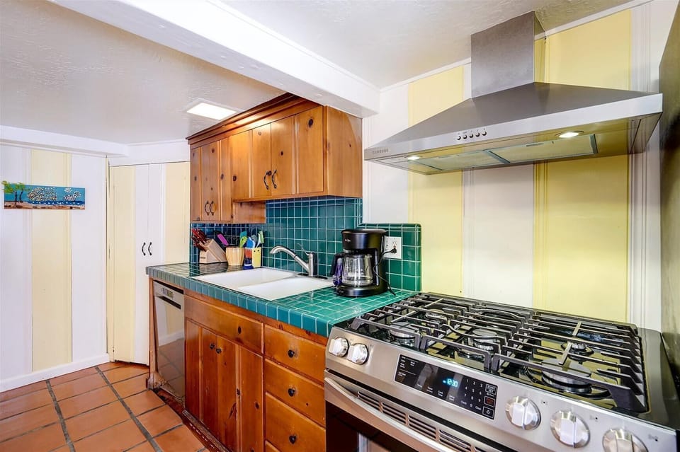 new stainless steel kitchen appliances (2020): dishwasher, range and fridge