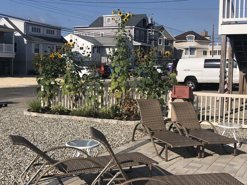 Side yard