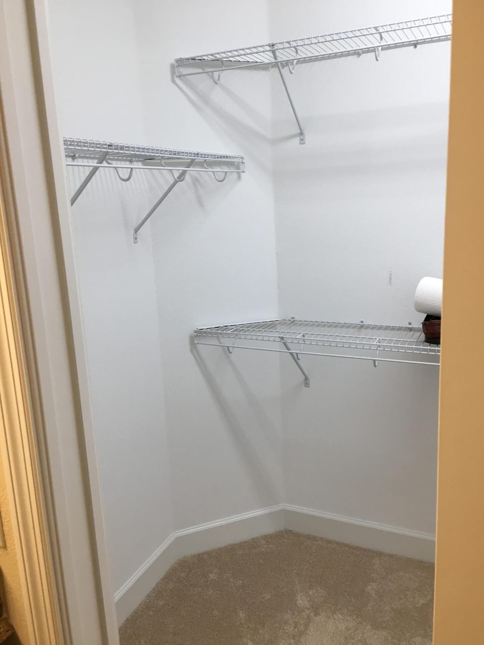 Walk-in closet in Master