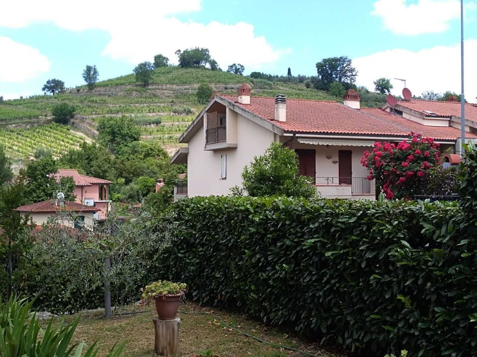 View from our garden