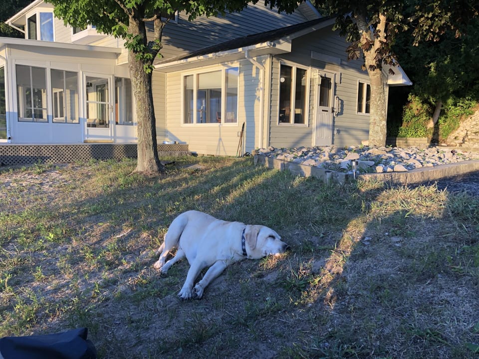 Great location for a nap