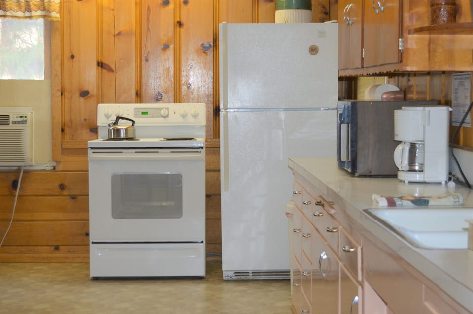 Stove and full sized refrigerator. Stove is electric.