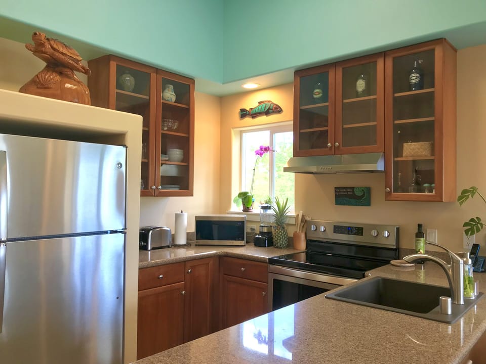Modern open concept kitchen with all of the amenities.