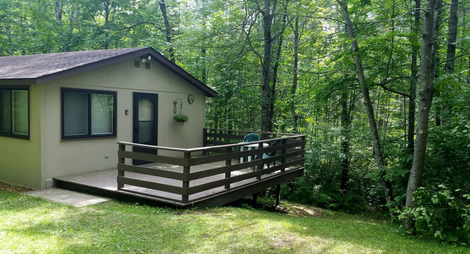 Quaint, and secluded, surrounded by majestic mature forest!