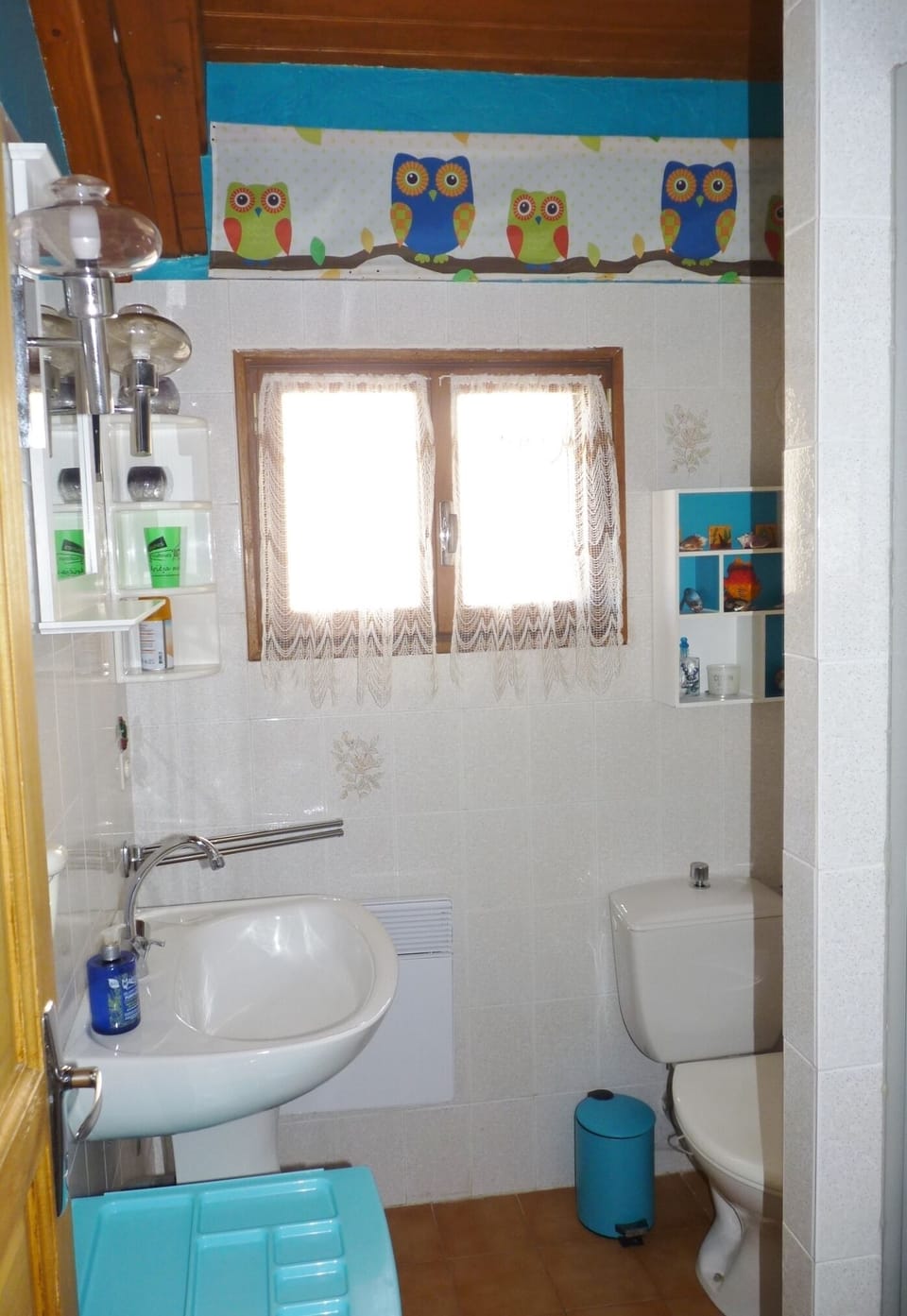 The bathroom/shower and toilet