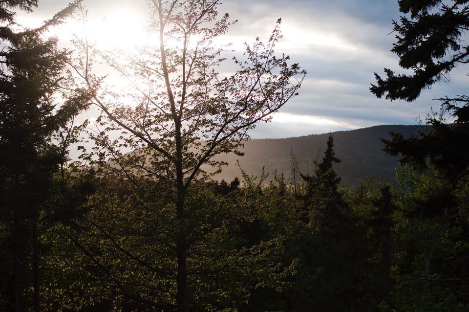 View of Bernard Mountain from the deck.