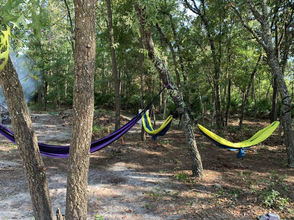 Hammocks area