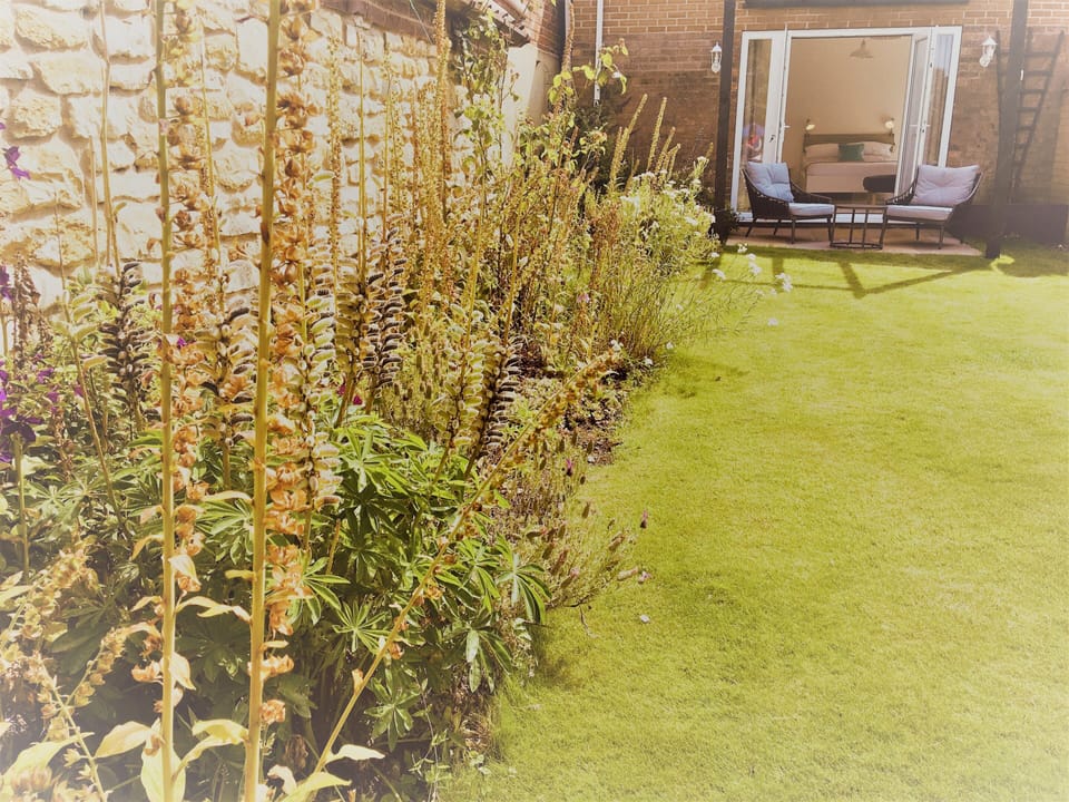 The Garden Room