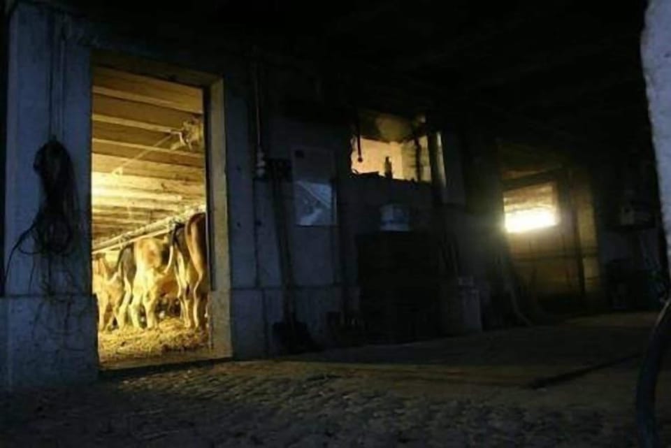 Picture 15