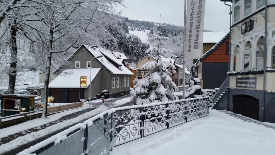 snow 2