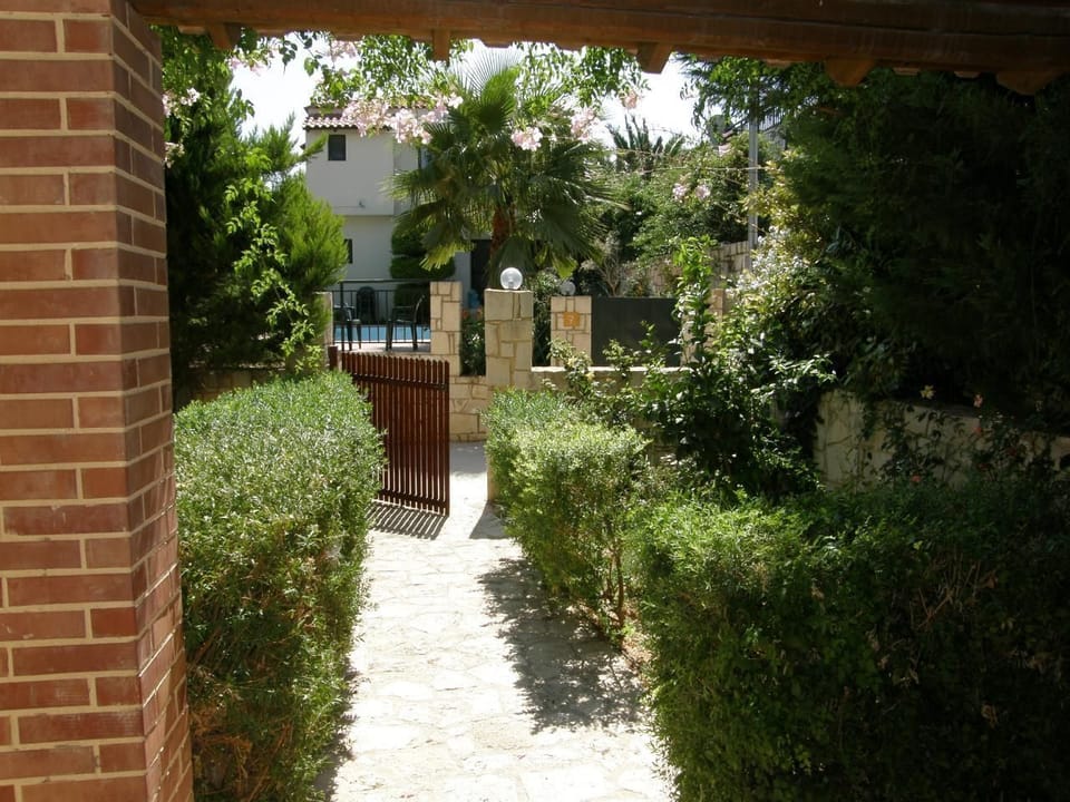 Picture 7