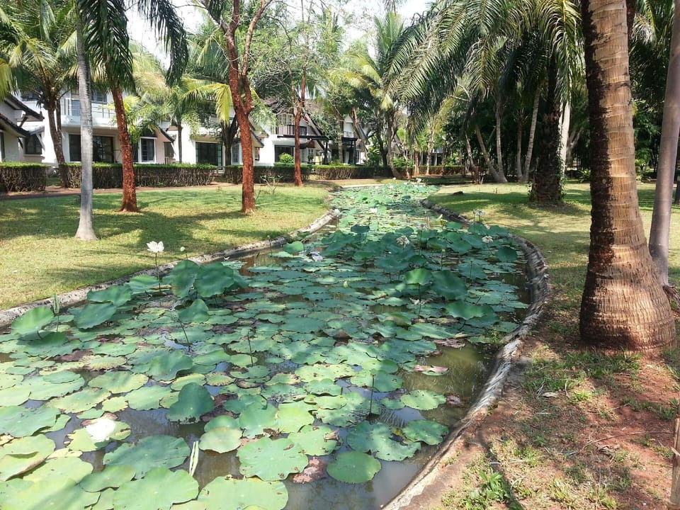 Property grounds