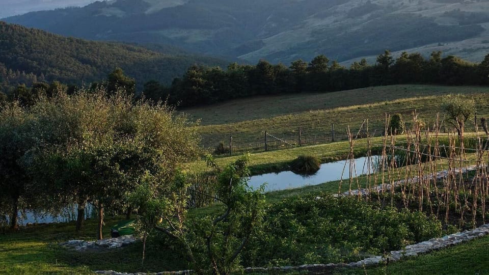 fishing pond and vegetable garden