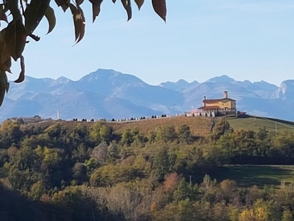 Picture 18