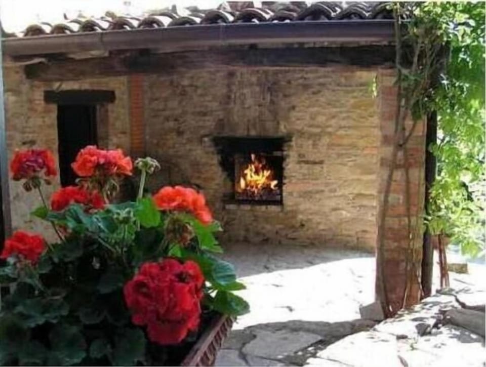 The antique pizza oven