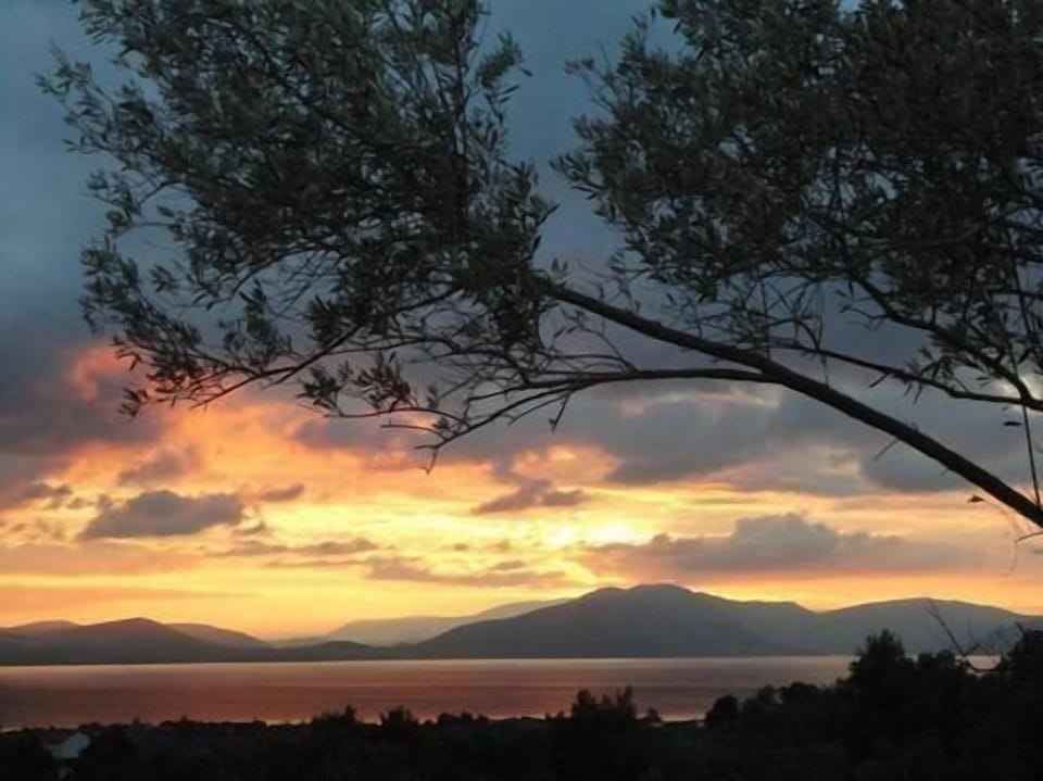 Autumn sunset