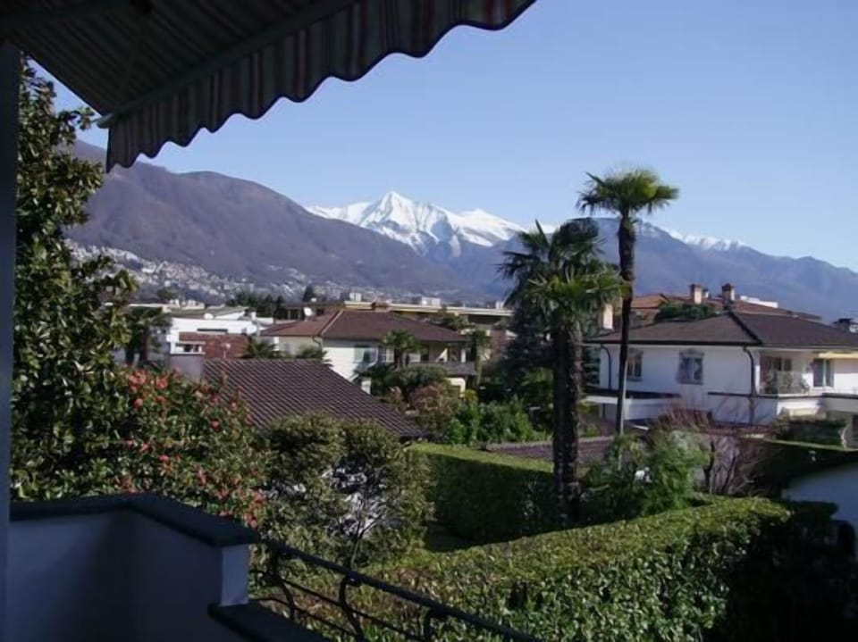Picture 5