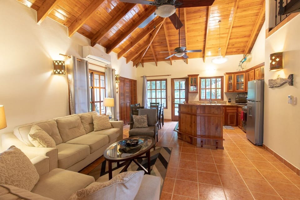 Living area and Kitchen