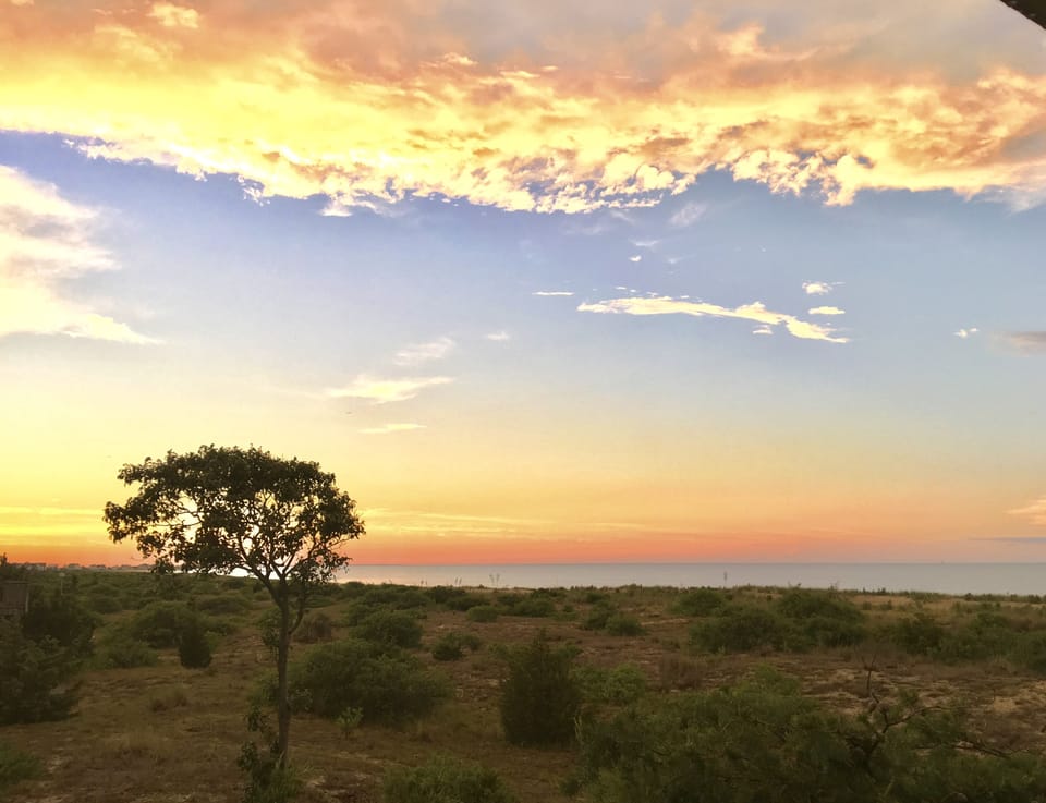 One of our favorite trees and gorgeous sky. View is to the north from the deck.