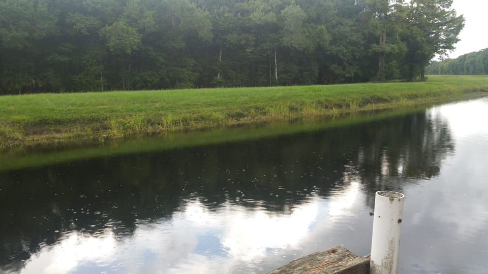 Looking South East across Channel