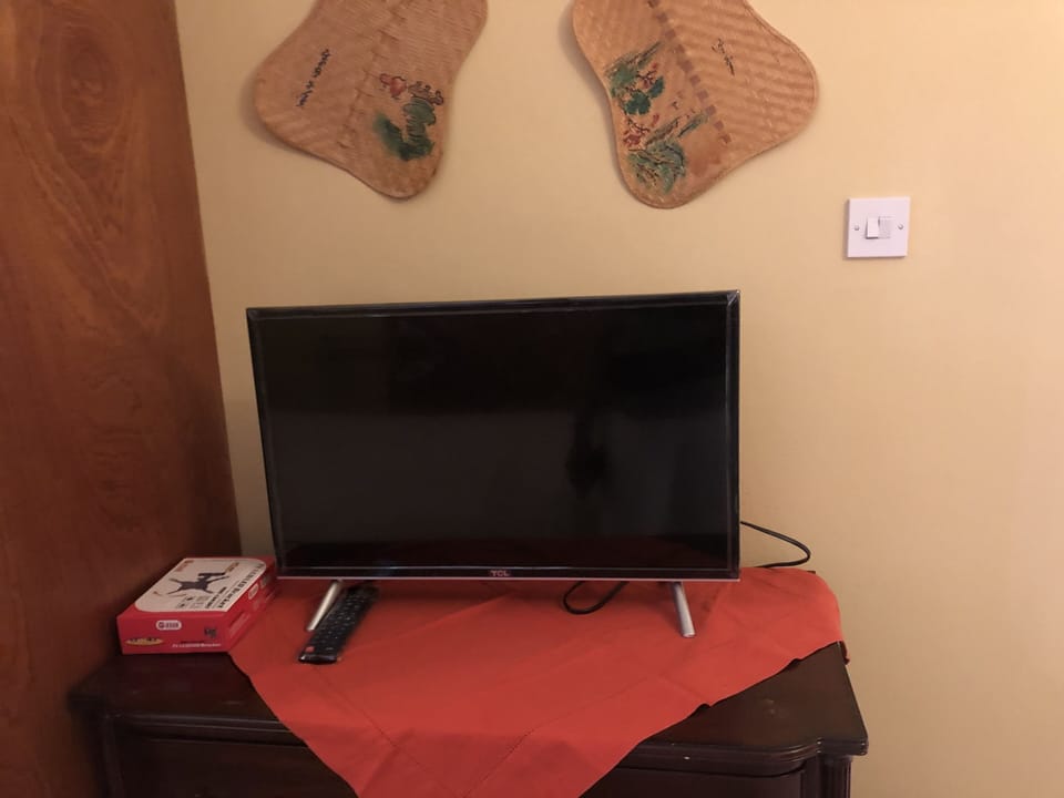 Television