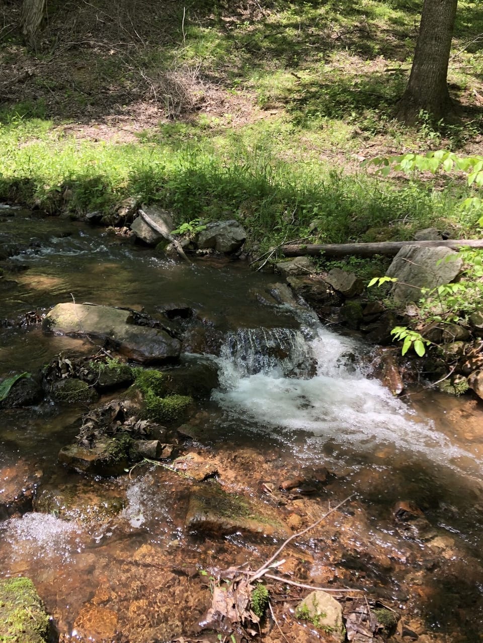 Creek next to cabin