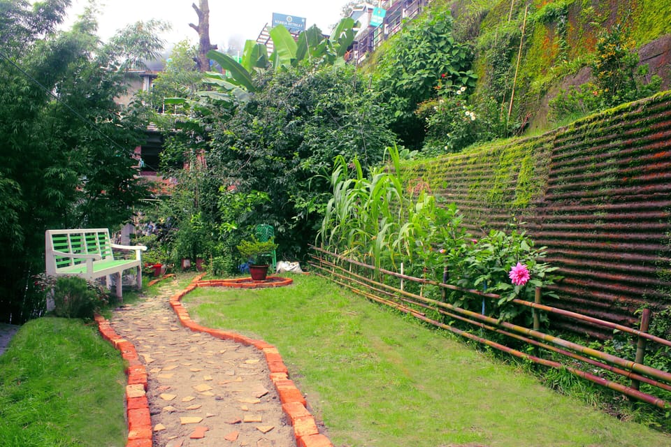 Garden.