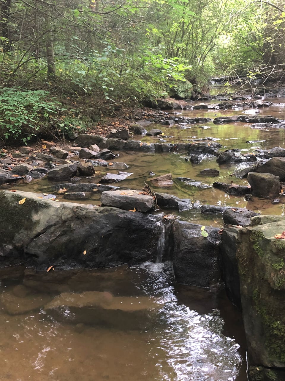 Creek right below the deck