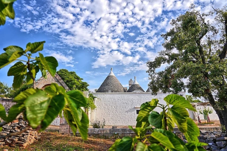 The Trullo from Pasquale House in Province of Taranto